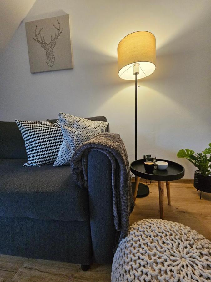 Horsky Apartman Miki Filipovice Екстер'єр фото