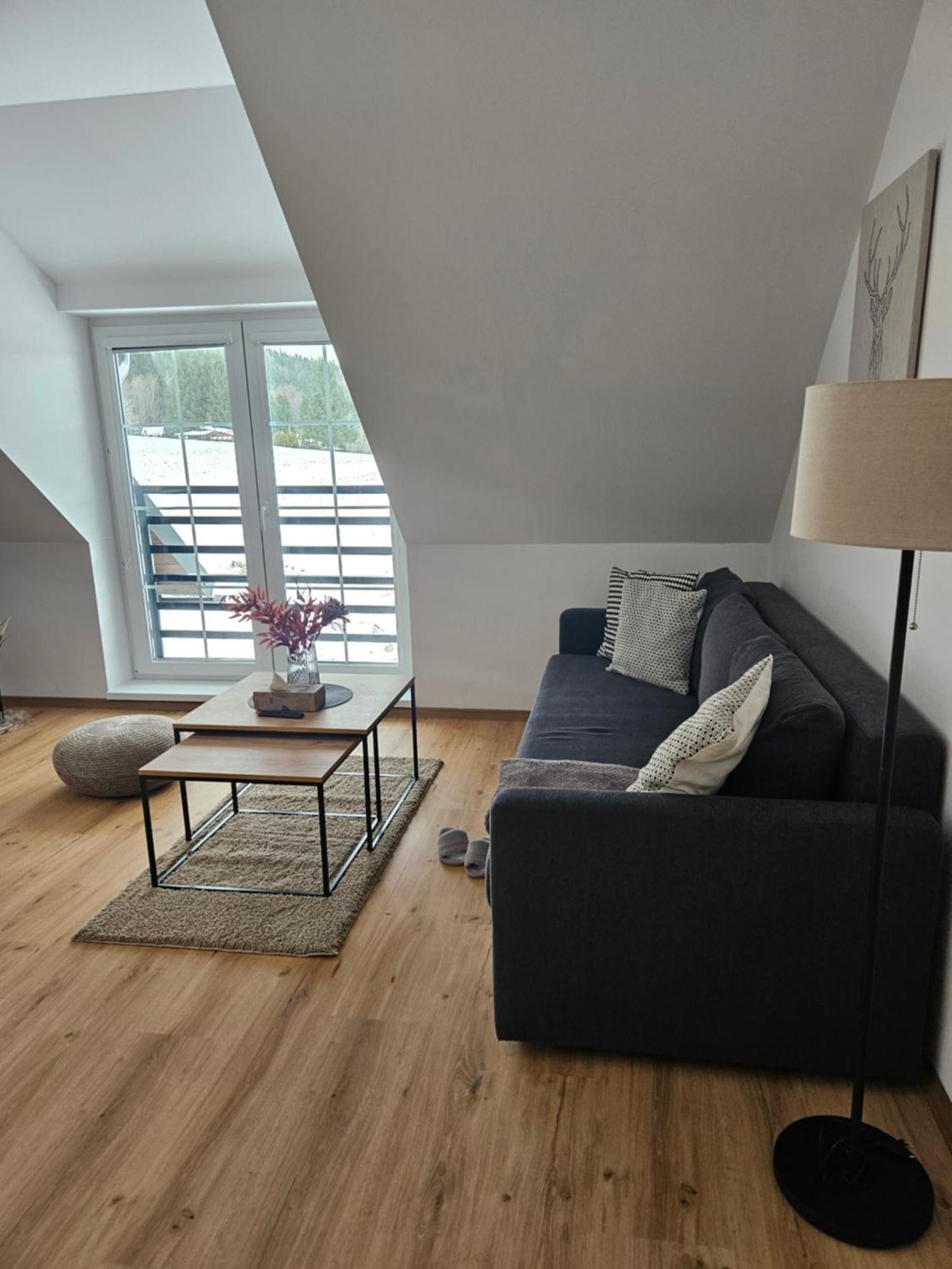 Horsky Apartman Miki Filipovice Екстер'єр фото